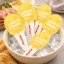 بستنی گربه ونپی با طعم مرغ (لیسیدنی) 16 گرم بسته بندی جدید Wanpy Ice Cream
