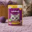 پوچ گربه بالغ ویسکاس با طعم تکه های مرغ در سس ویسکاس 85 گرم Whiskas Pouch