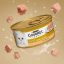 کنسرو گربه گورمت 4 طعم 340 گرم Gourmet Canned