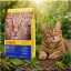 غذای خشک گربه جوسرا مدل دیلی کت Josera Dailycat وزن 1 کیلوگرم