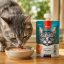 پودینگ گربه ونپی با طعم مرغ و هویج 90 گرم Wanpy Pudding